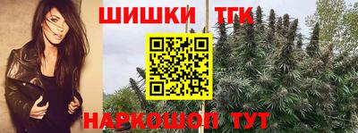 ECSTASY Кингисепп