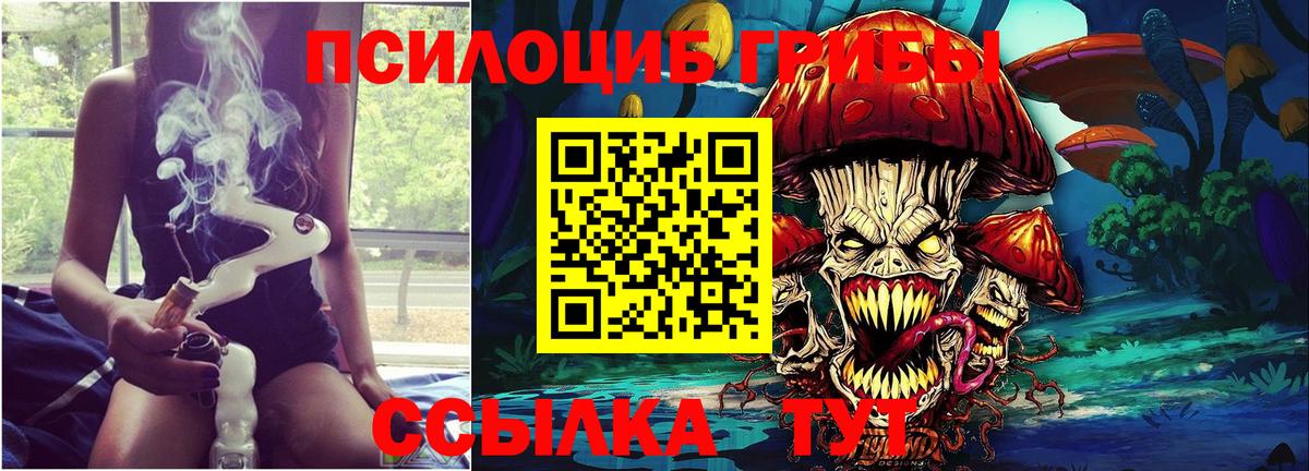 Псилоцибиновые грибы ЛСД Дагестанские Огни